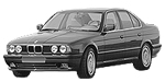 BMW E34 C2195 Fault Code